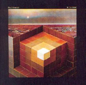 Black Mountain: In the future, Coverabbildung