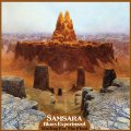 Samsara Blues Experiment: Waiting for the flood, Coverabbildung