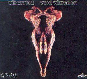 Vibravoid: Void vibration, Coverabbildung